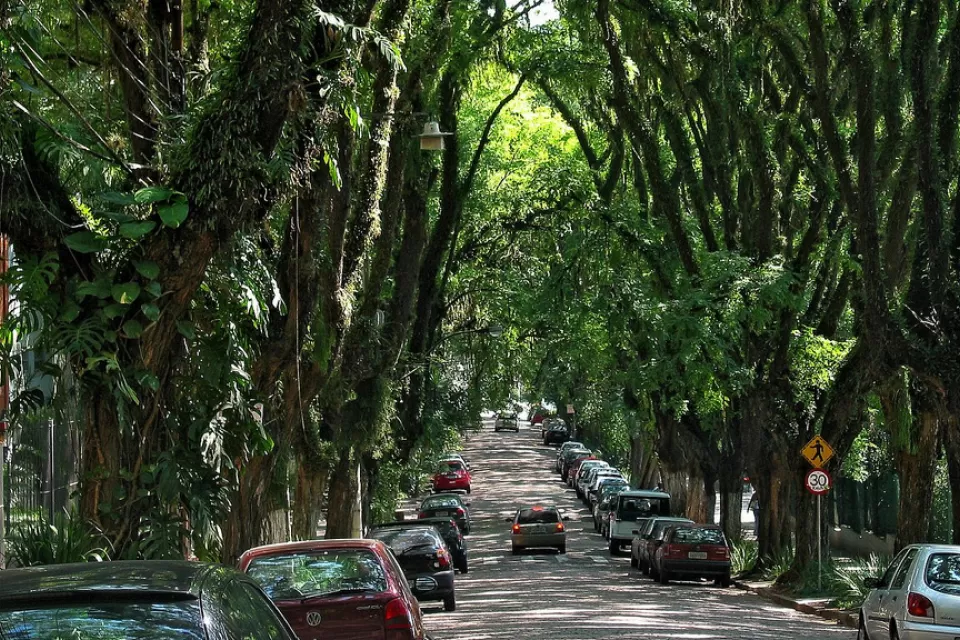 Rua Goncalo de Carvalho
